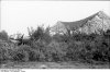 Bundesarchiv Bild 101I-343-0684-31, Belgien-Frankreich, Getarnte Junkers Ju 88