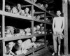 Archivio Nazionale Americano