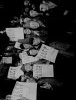 Archivio Nazionale Americano