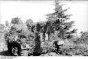 bundesarchiv bild 101i-310-0876-13 italien getarnter panzerjger nashorn-hornisse