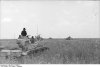 bundesarchiv bild 101i-217-0480-09 russland-sd panzer iii