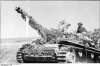 bundesarchiv bild 101i-476-2053-31a italien sturmgeschtz iii im gelnde